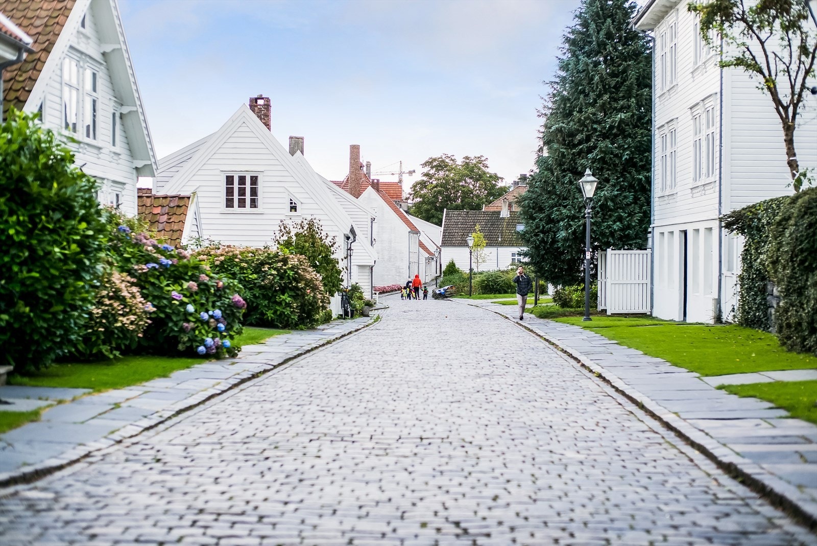 Nærområde. Galleribilde