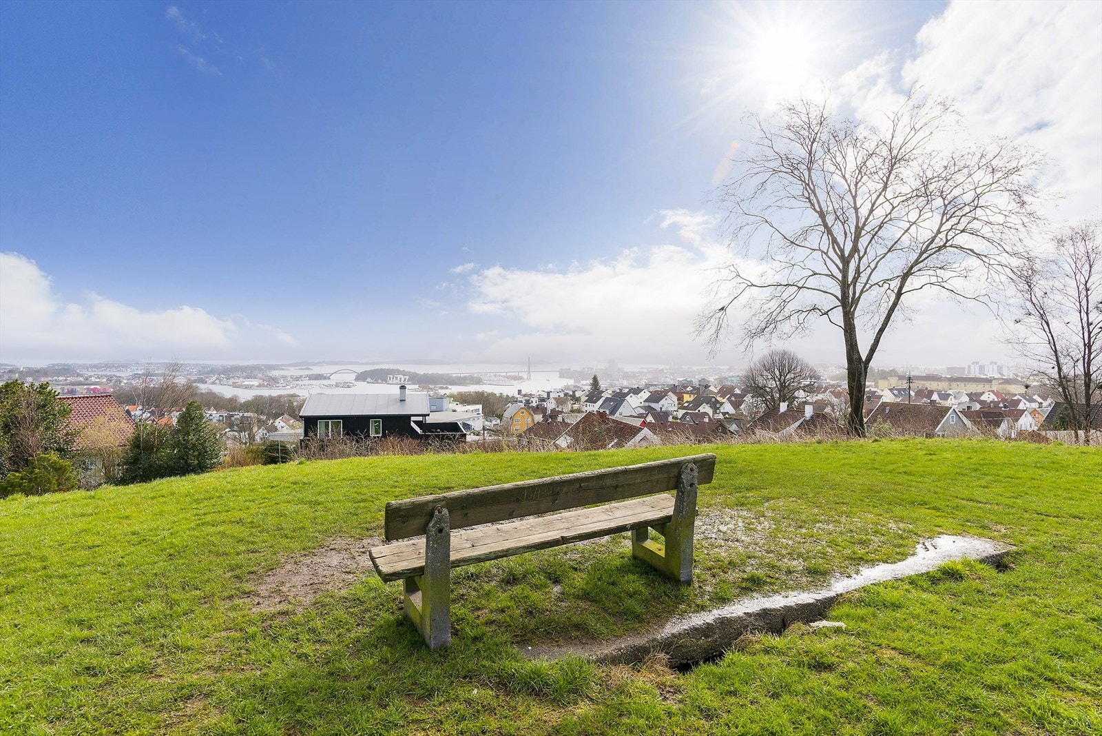 Nærområde. Galleribilde