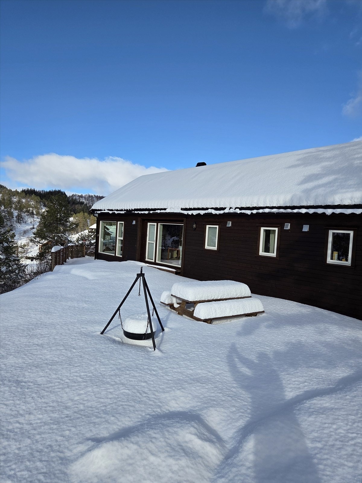 Vinterbilde Galleribilde