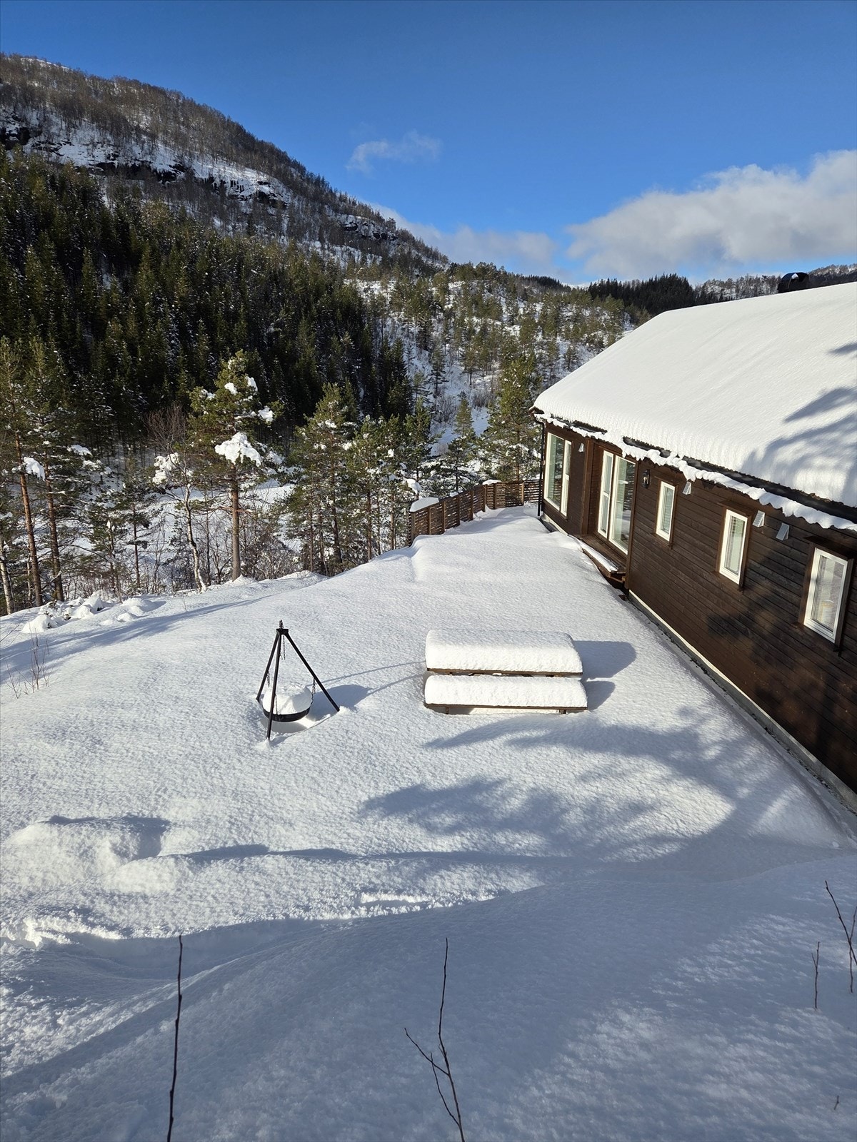 Flott natur hele året. Galleribilde