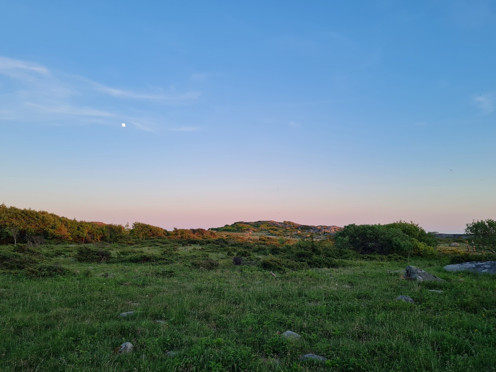 Tjøme byr på et levende kystlandskap der skjærgård, skog og strand møtes Galleribilde