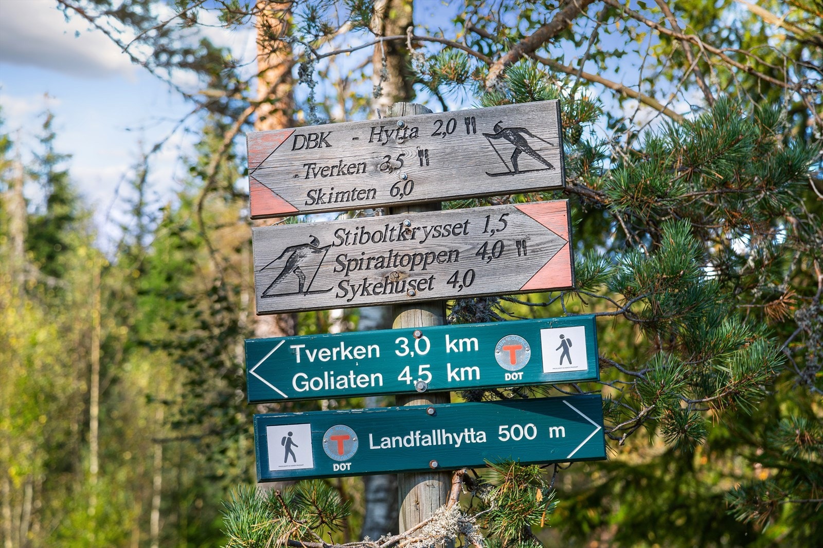 Fra leiligheten er det kort vei til både elvepromenaden og marka Galleribilde