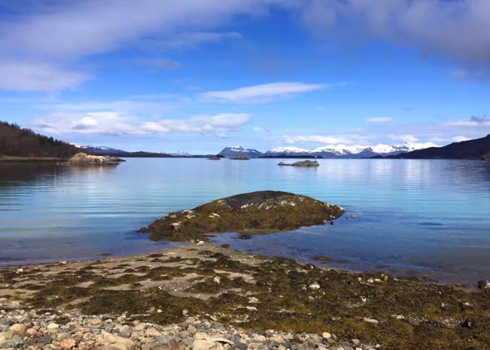 Velkommen til en trivelig visning | Foto: selger Galleribilde