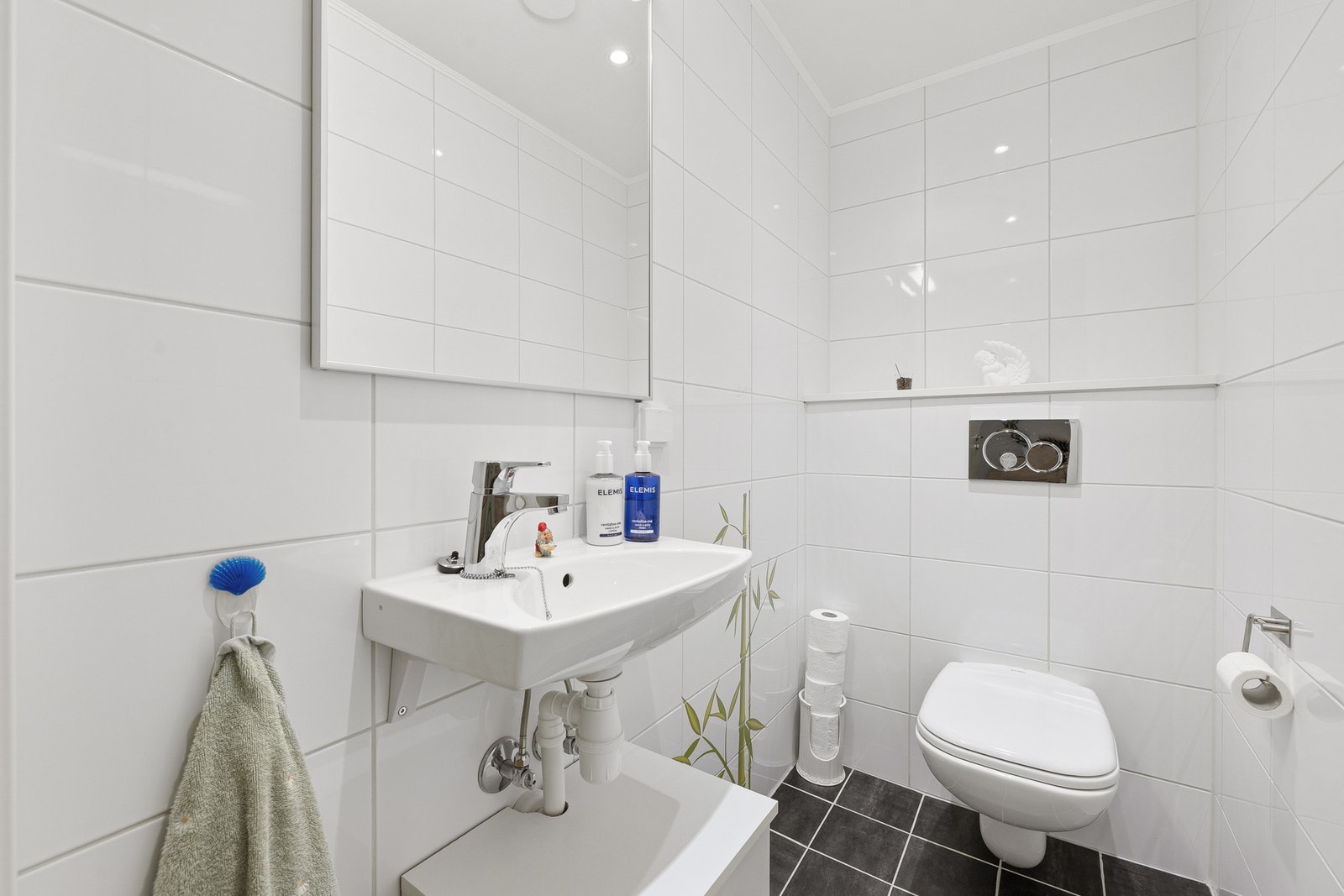 Praktisk toalettrom. Galleribilde