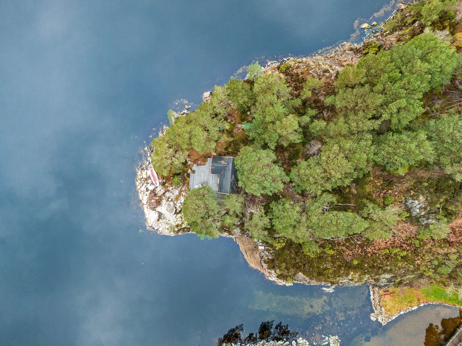 Luftfoto viser hytta omringet av furutrær med sjøen som nærmeste nabo. Galleribilde