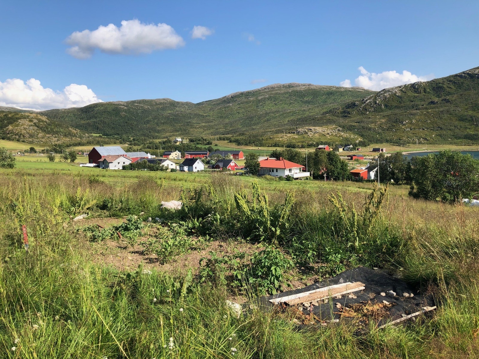Kjøkkenhage. Galleribilde