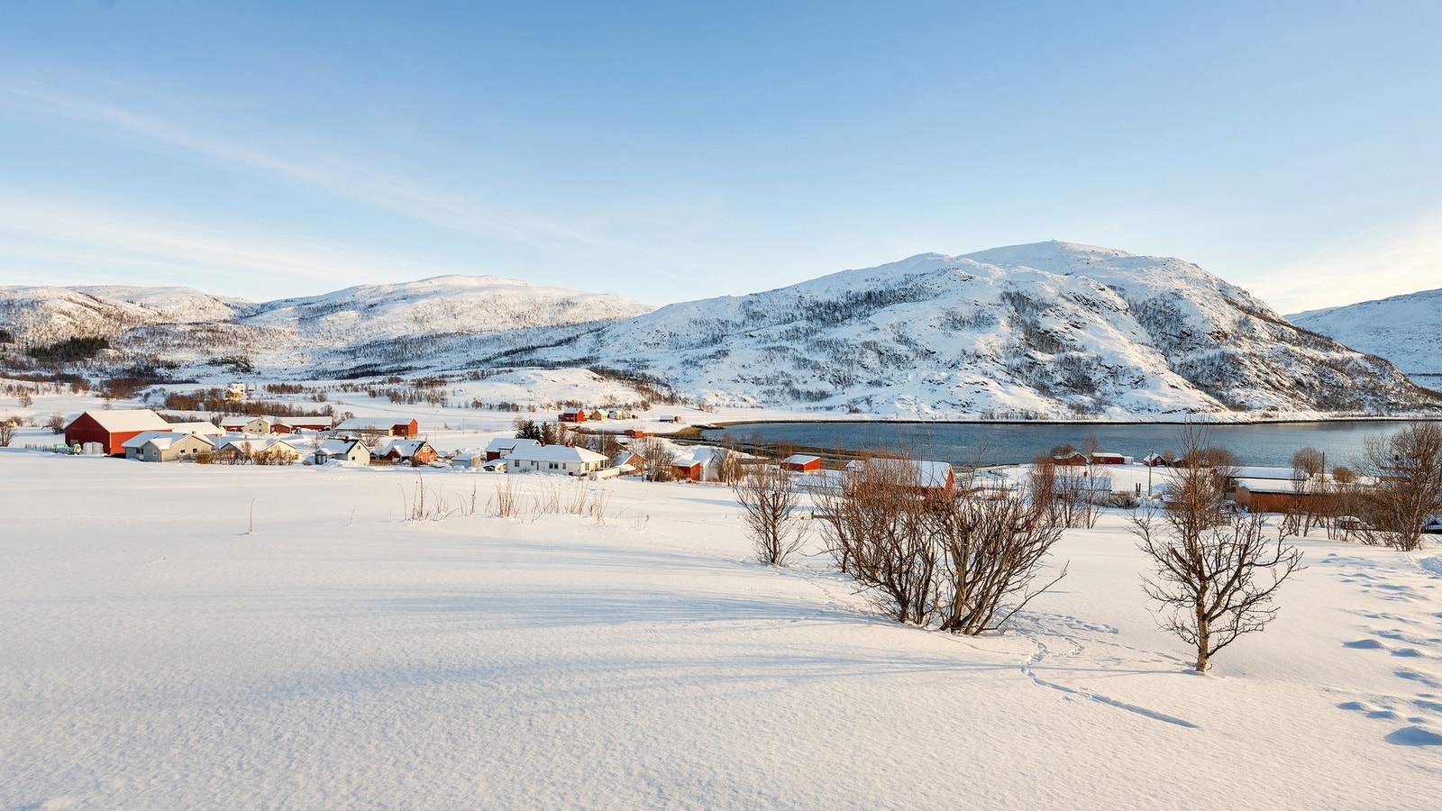 Utsikt fra terrassen, kort vei ned til fjæra. Galleribilde