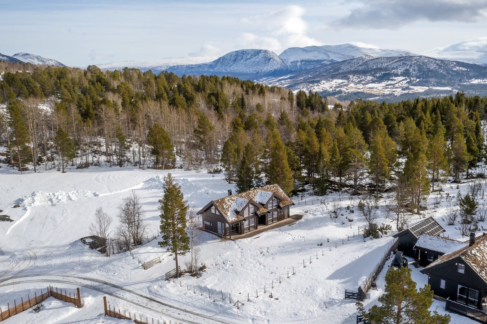 Oversiktsbilde Galleribilde