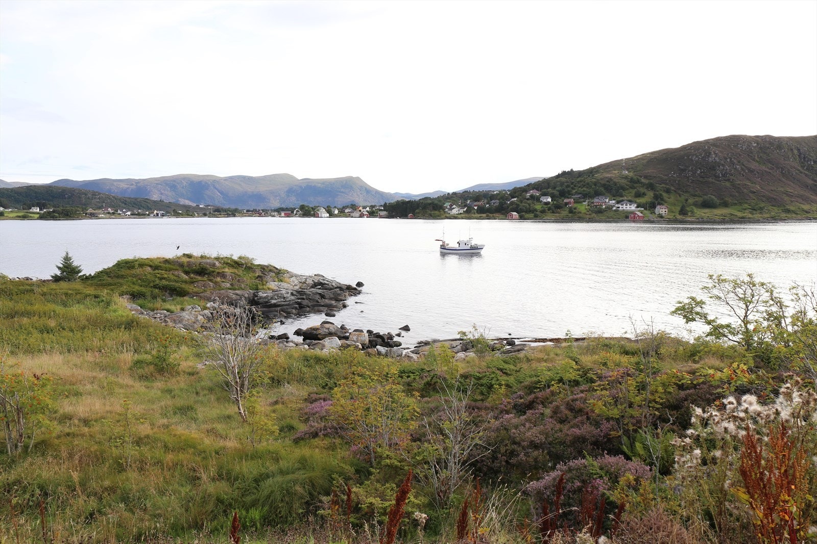 Vakre og naturskjønne omgivelser med gode solforhold | Foto: Selger Galleribilde
