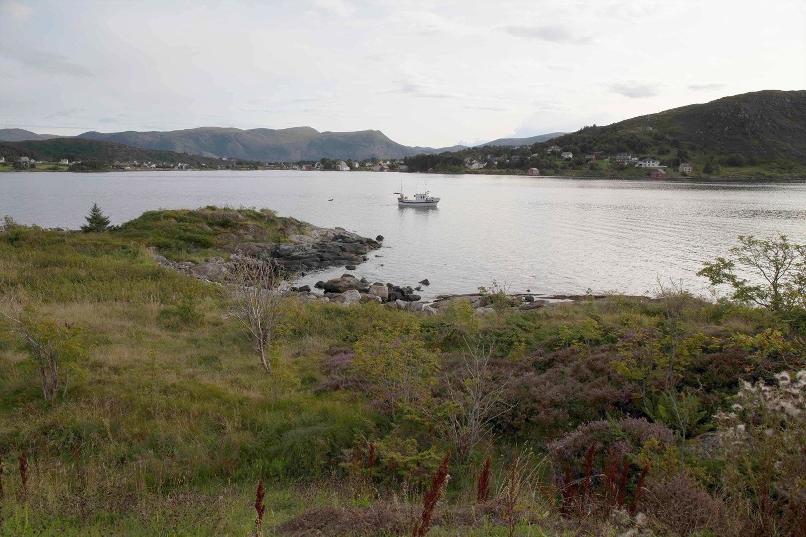 Østre område - Gylmeneste | Foto: Selger Galleribilde