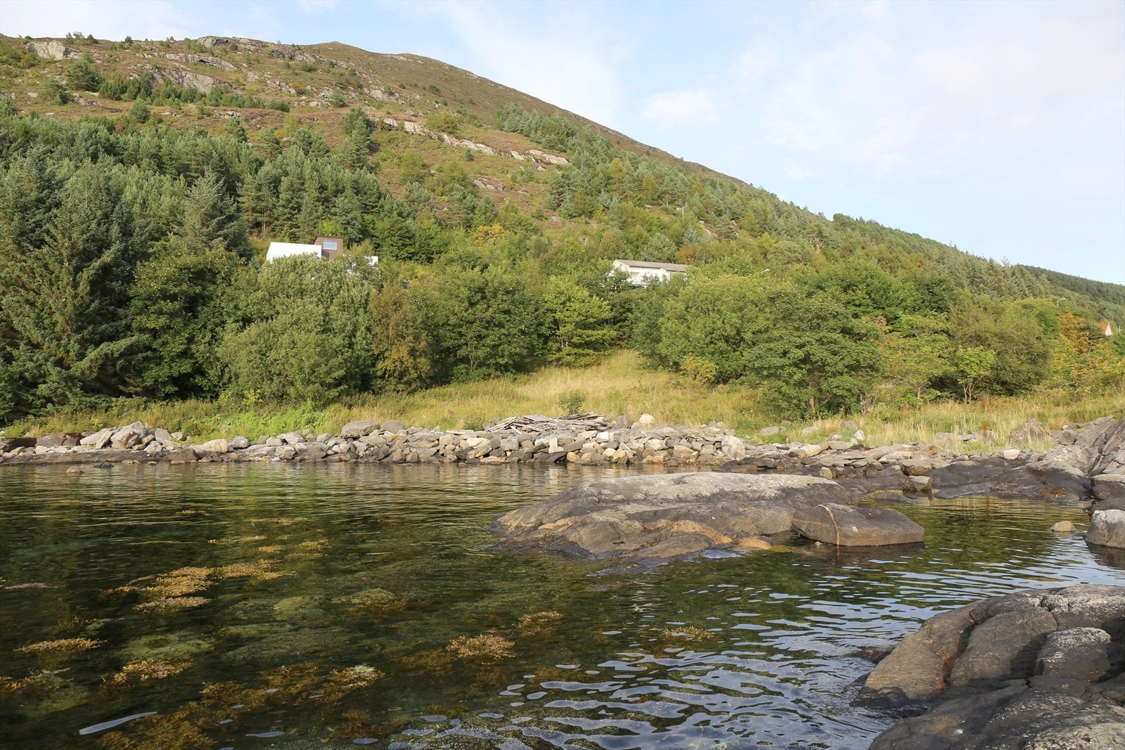 Leitefjøra friområde | Foto: Selger Galleribilde