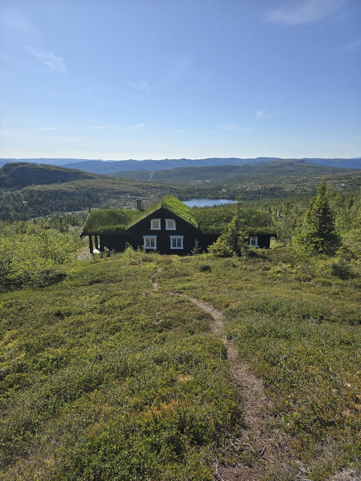 Selgers eget sommerbilde som viser utsikten ovenfor hytta. Galleribilde