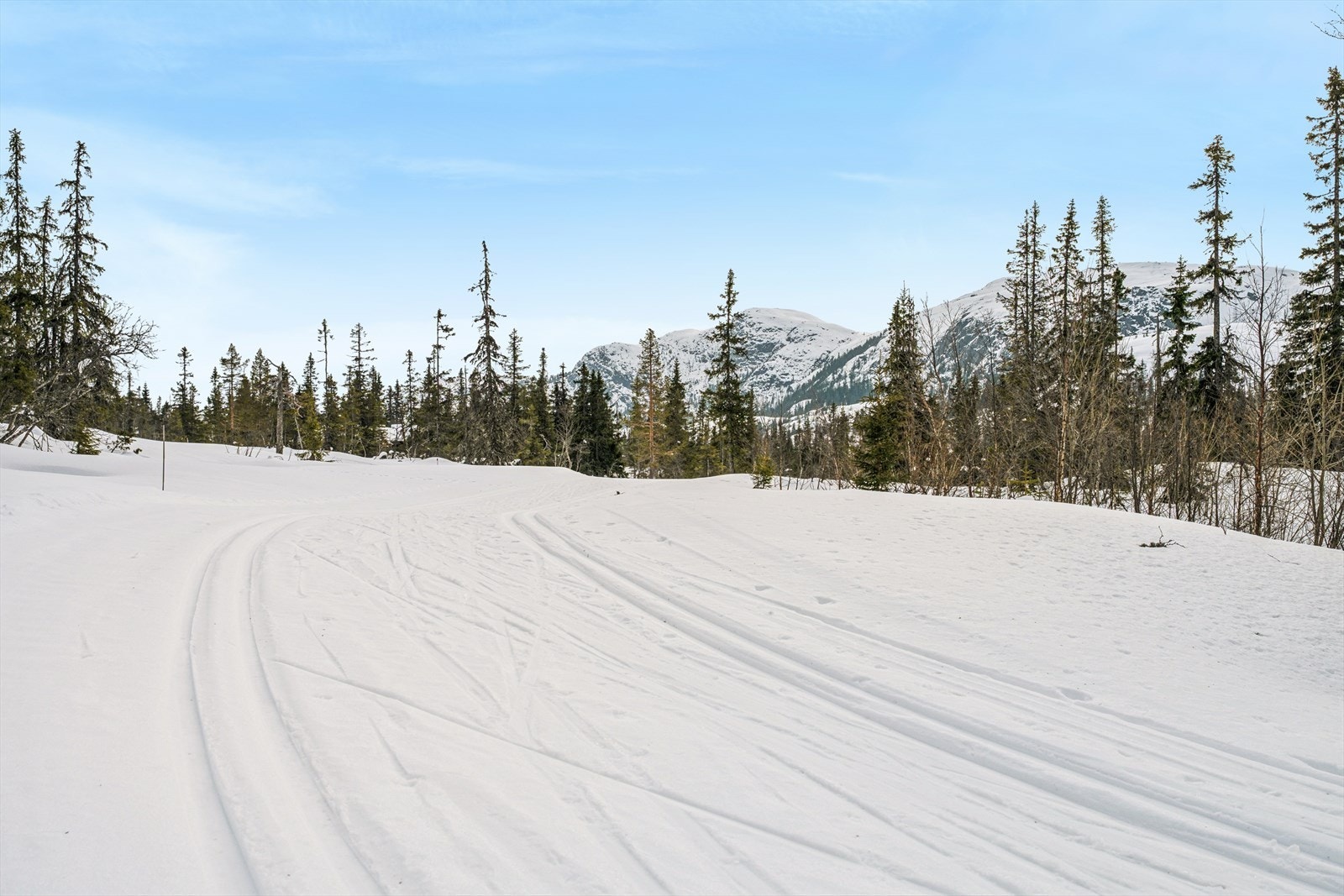 Med langrennsløyper kun 270 meter fra hytta, ligger alt til rette for flotte skiturer i fjellet. Galleribilde