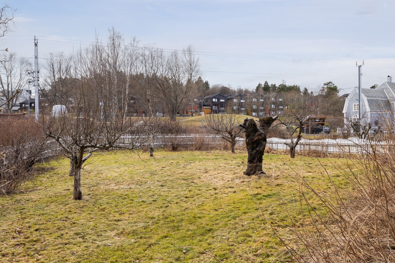 Hagen er pent opparbeidet med busker og trær. Her finner man bl.a. eple- og plommetrær. Samt solbær, rips, stikkelsbær, og bringebær. Galleribilde