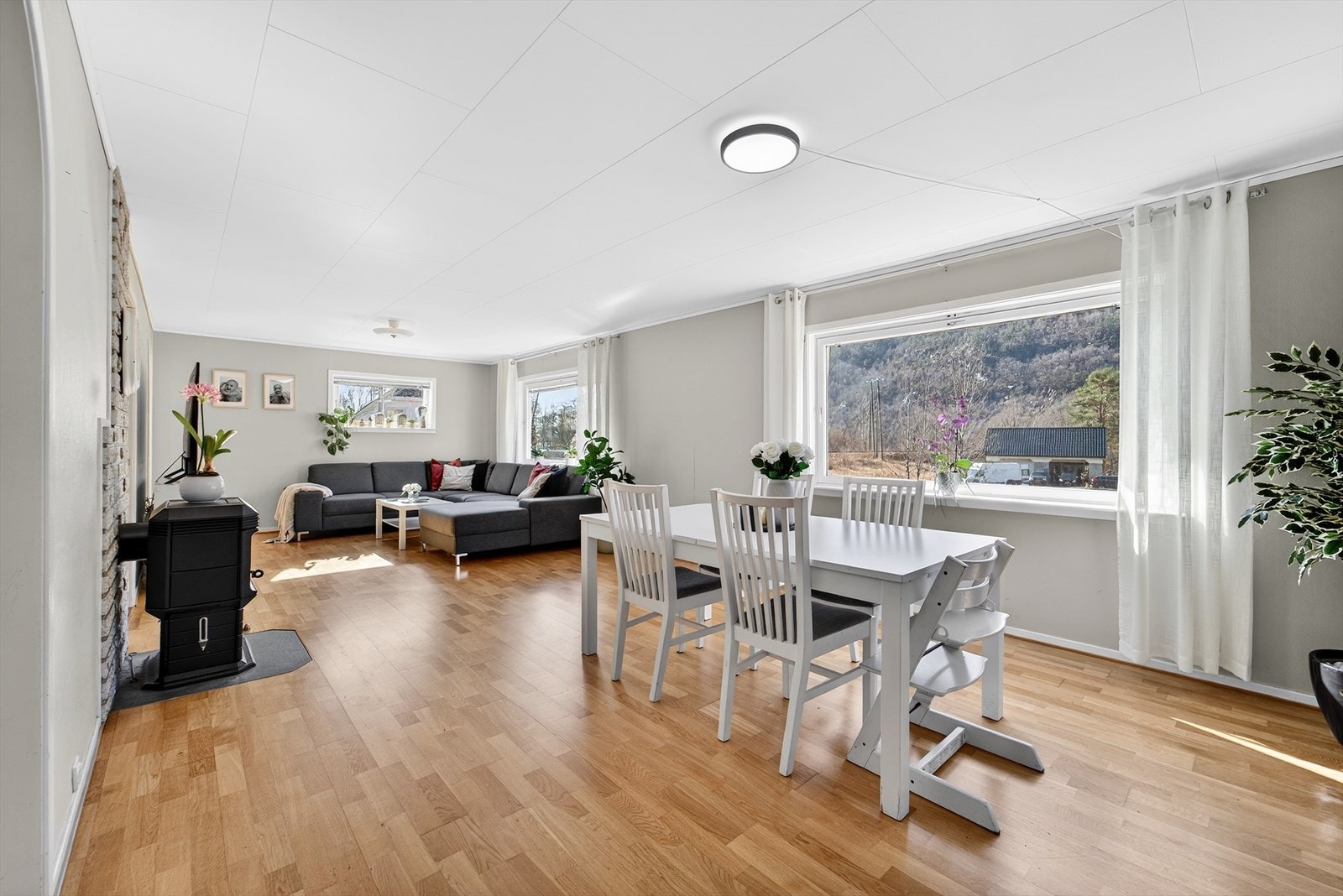 Praktsik vedovn i stuen. Galleribilde