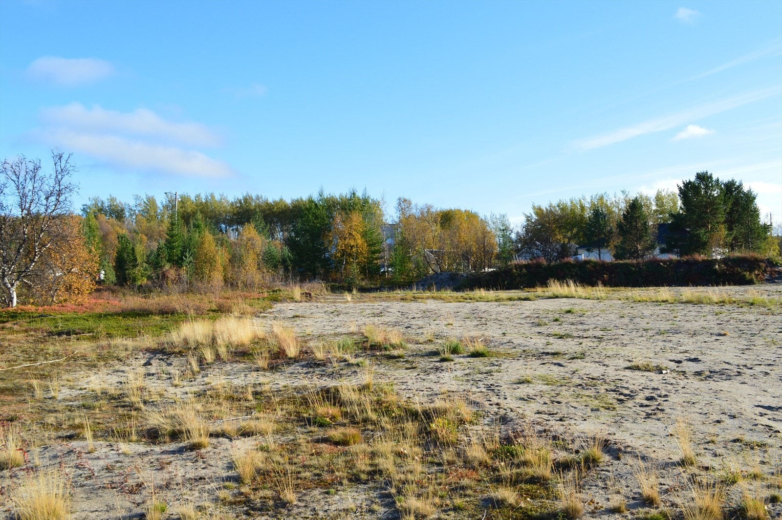 Fredelig tomt omkranset av naturskjønn skog, perfekt for drømmeboligen. Solrik beliggenhet med rikelig plass til hage og uteområder. Galleribilde