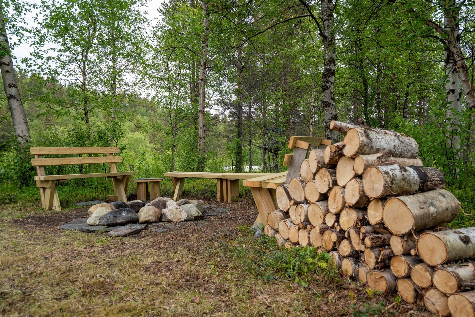 Koselig uteområde med benker og bålplass, omgitt av skog. Perfekt for avslappende stunder i naturen. Galleribilde