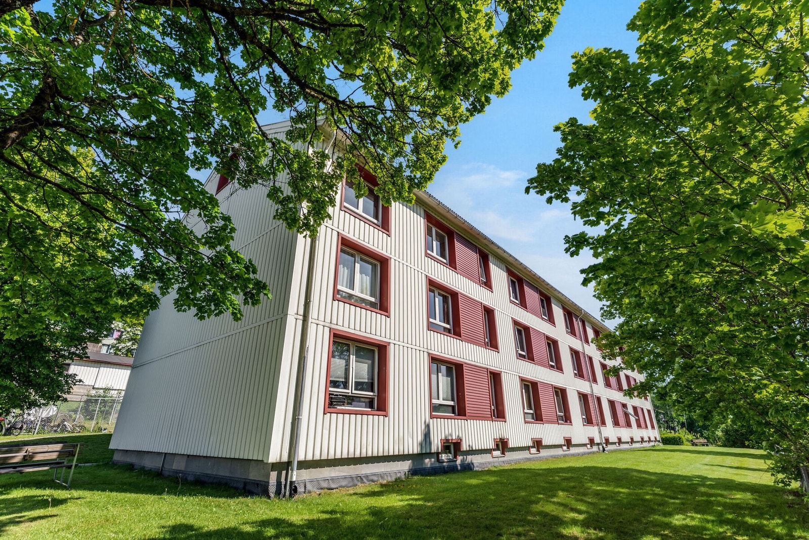 Sommerbilder fra borettslaget Galleribilde