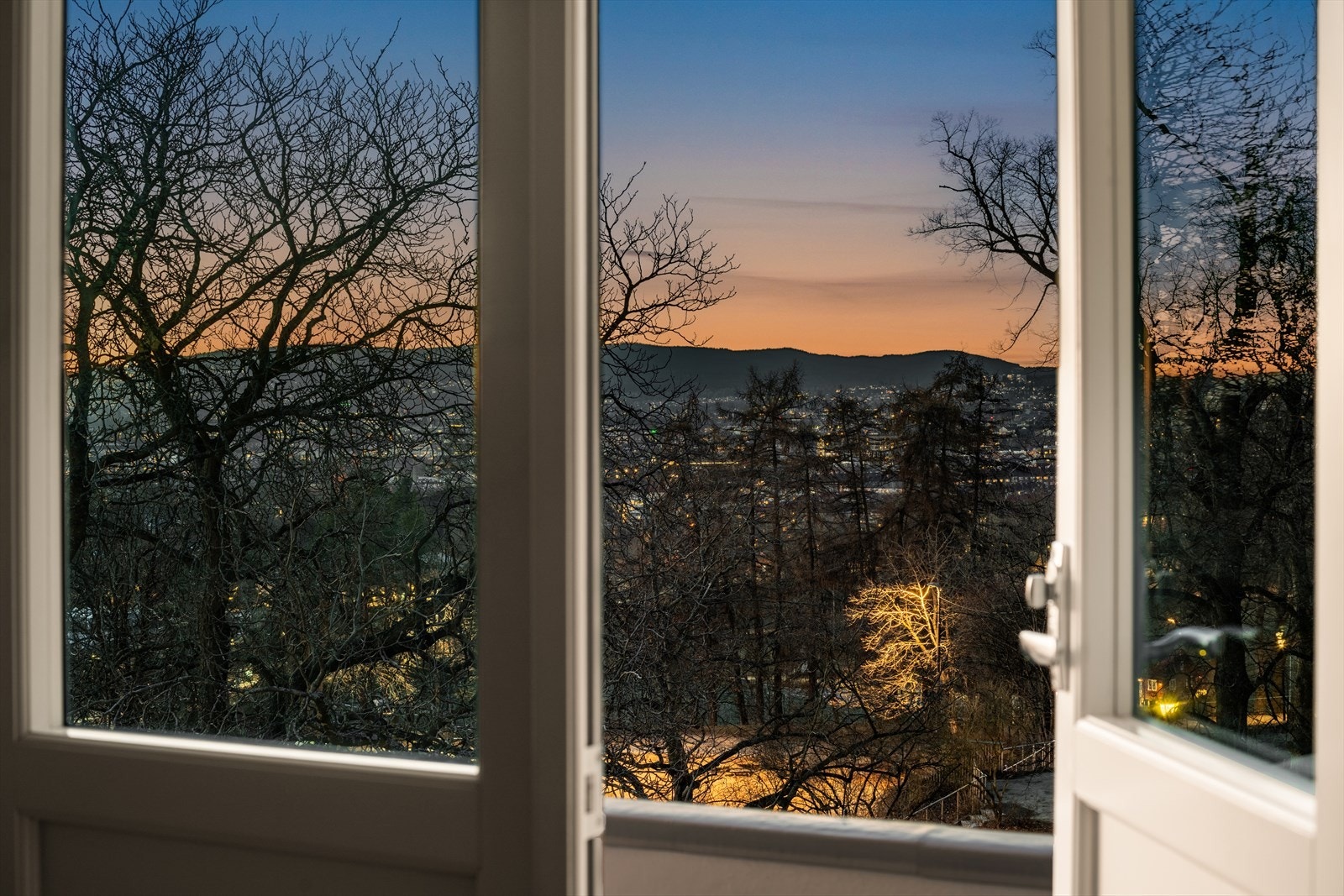 Utsikt fra stue. Galleribilde