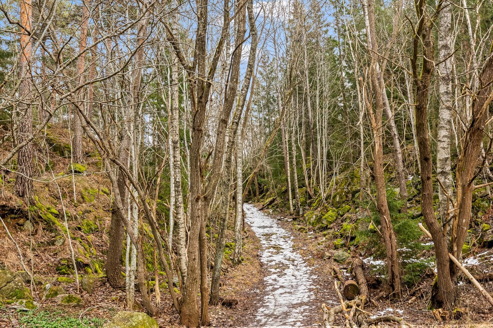 Området byr på svært gode turmuligheter, med umiddelbar nærhet til skog og mark. Galleribilde