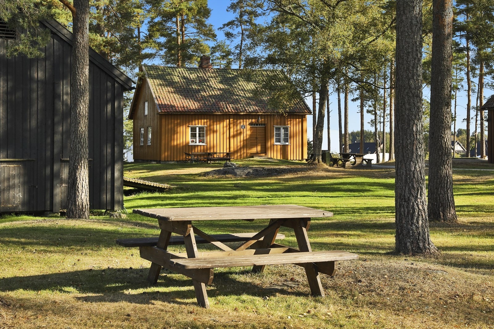 Bygdetunet Galleribilde