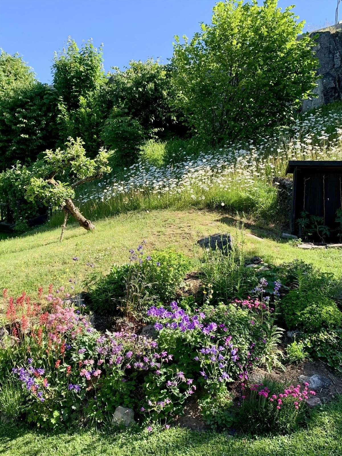 Nåværende eiere har tatt godt vare på hagen og den er nydelig beplantet med stauder, busker og trær Galleribilde