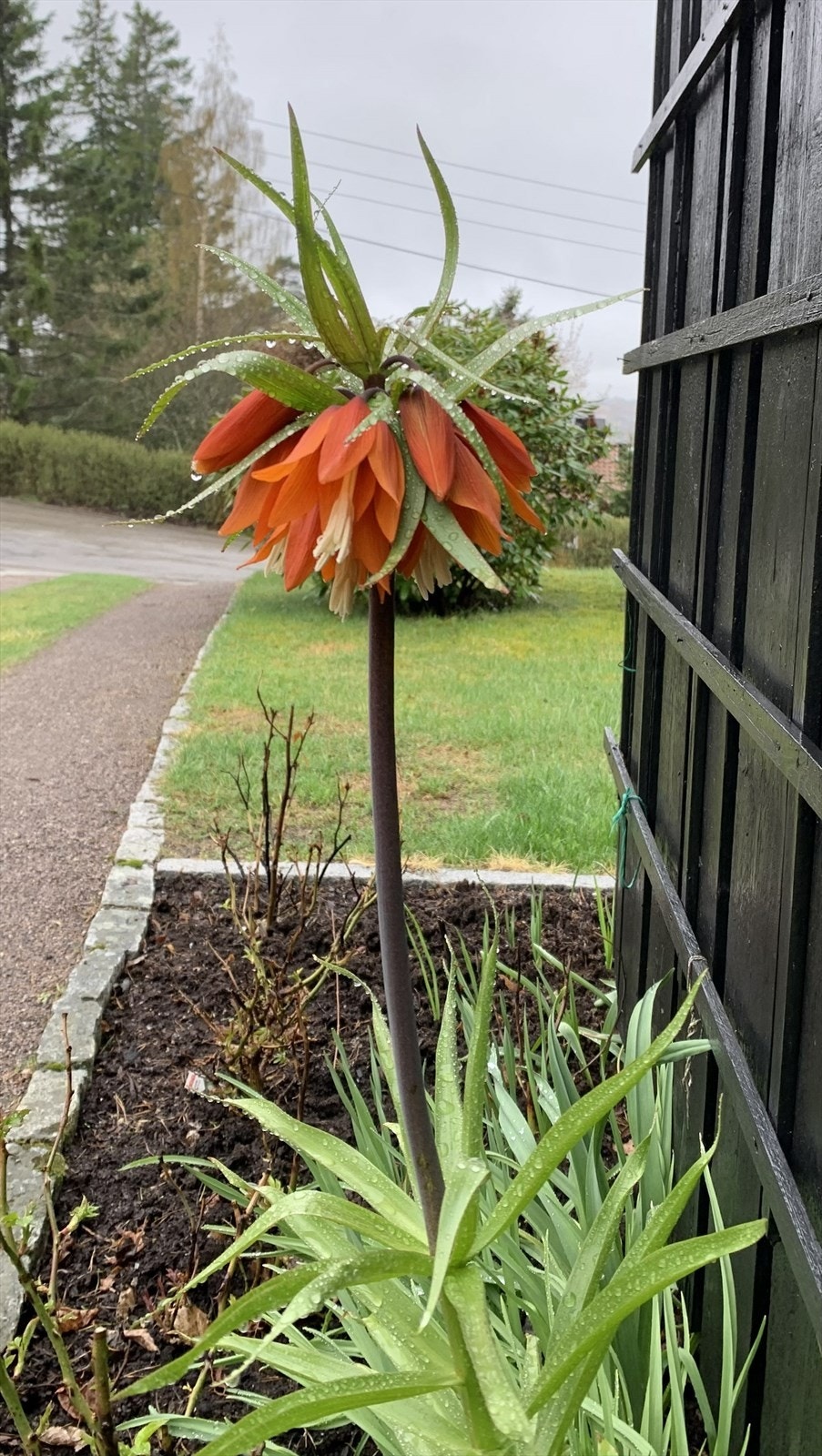 Det er anlagt et bed som leder besøkende til boligens inngangsparti Galleribilde