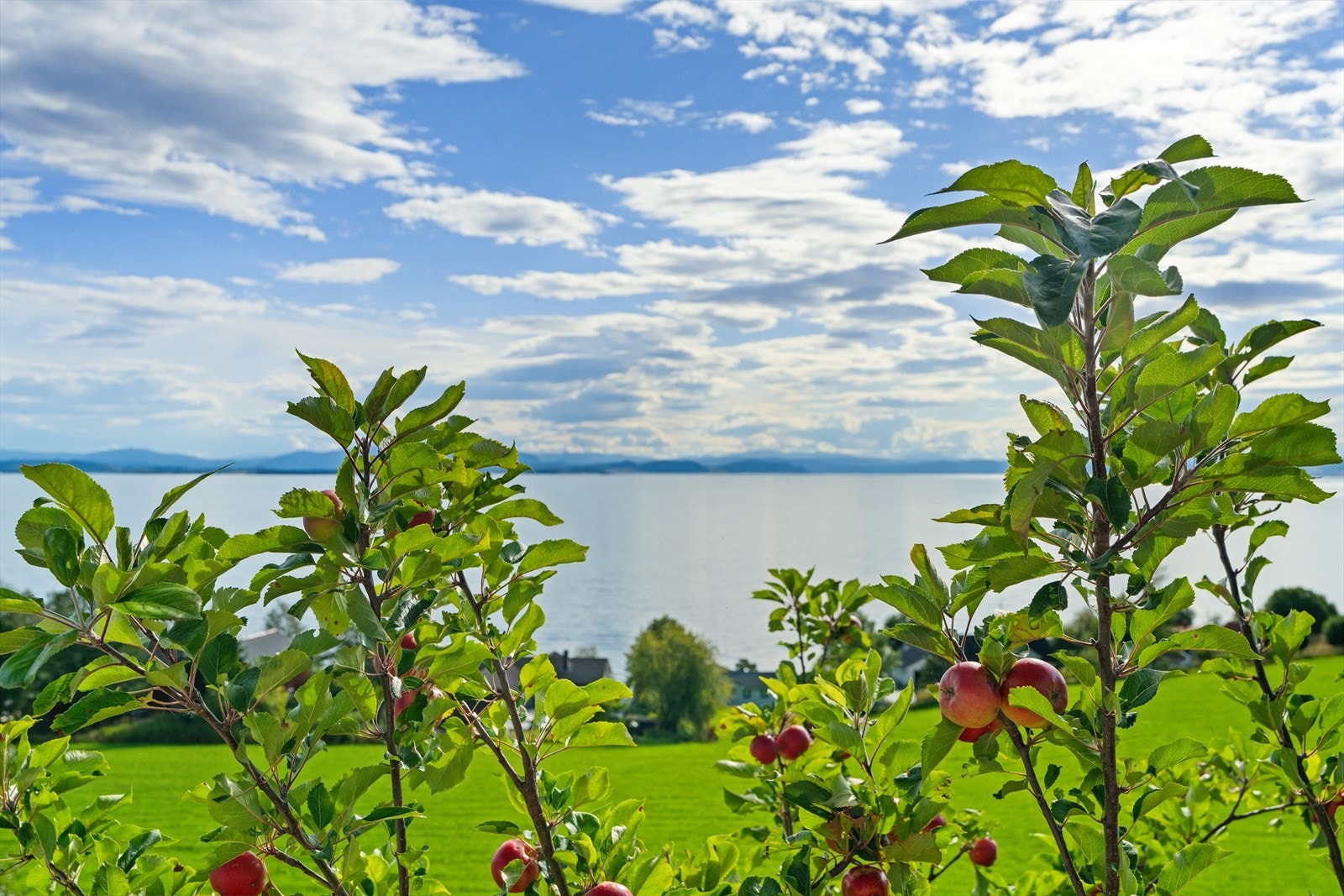Eiendommen har fantastisk utsyn over Trondheimsfjorden. Galleribilde