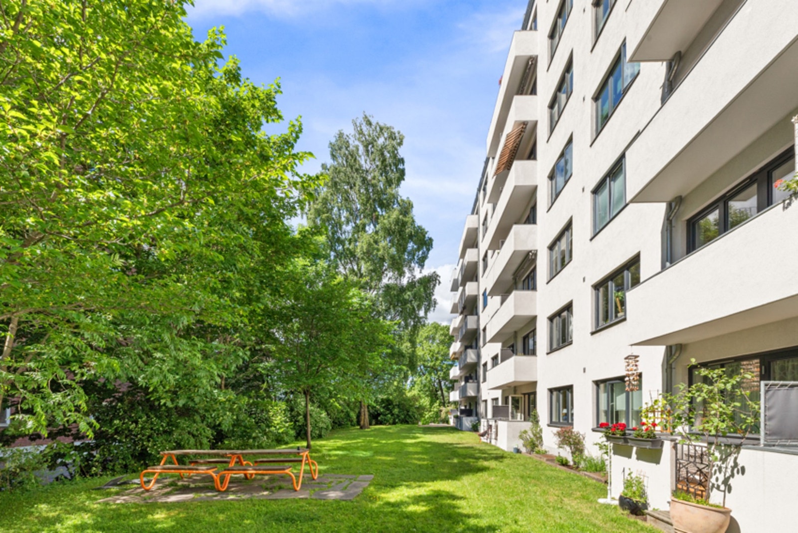 Sameiet har en svært flottt, opparbeidet hage med hyggelig beplantning og sittegrupper Galleribilde