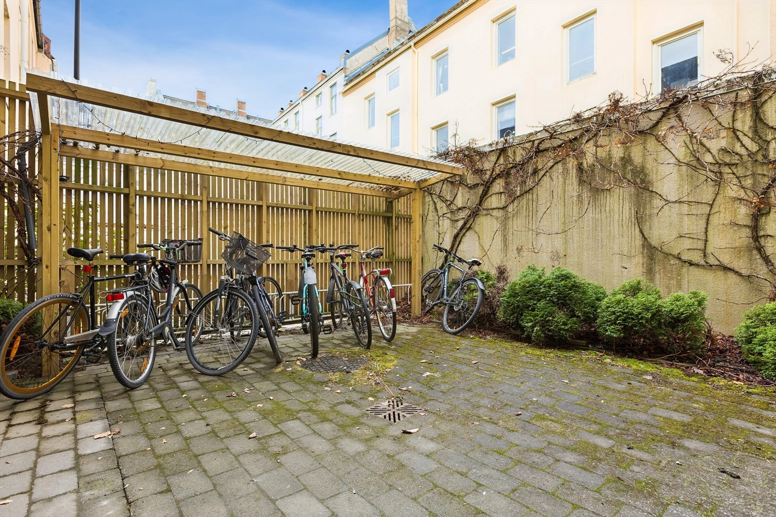 Bakgård med sykkelparkering. Galleribilde