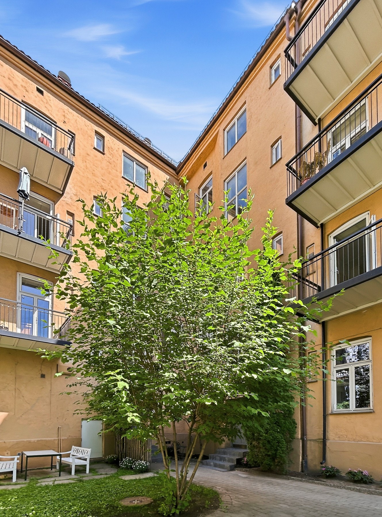 Sesongbilde Galleribilde