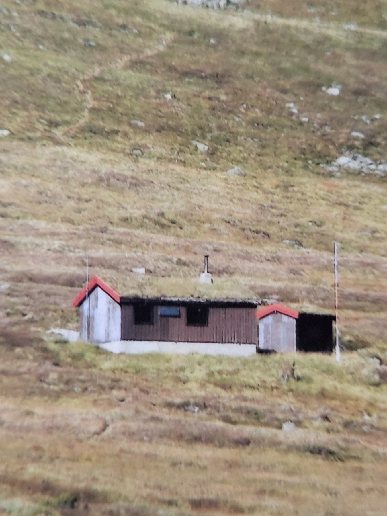 Hytte på Meisalfjellet Galleribilde