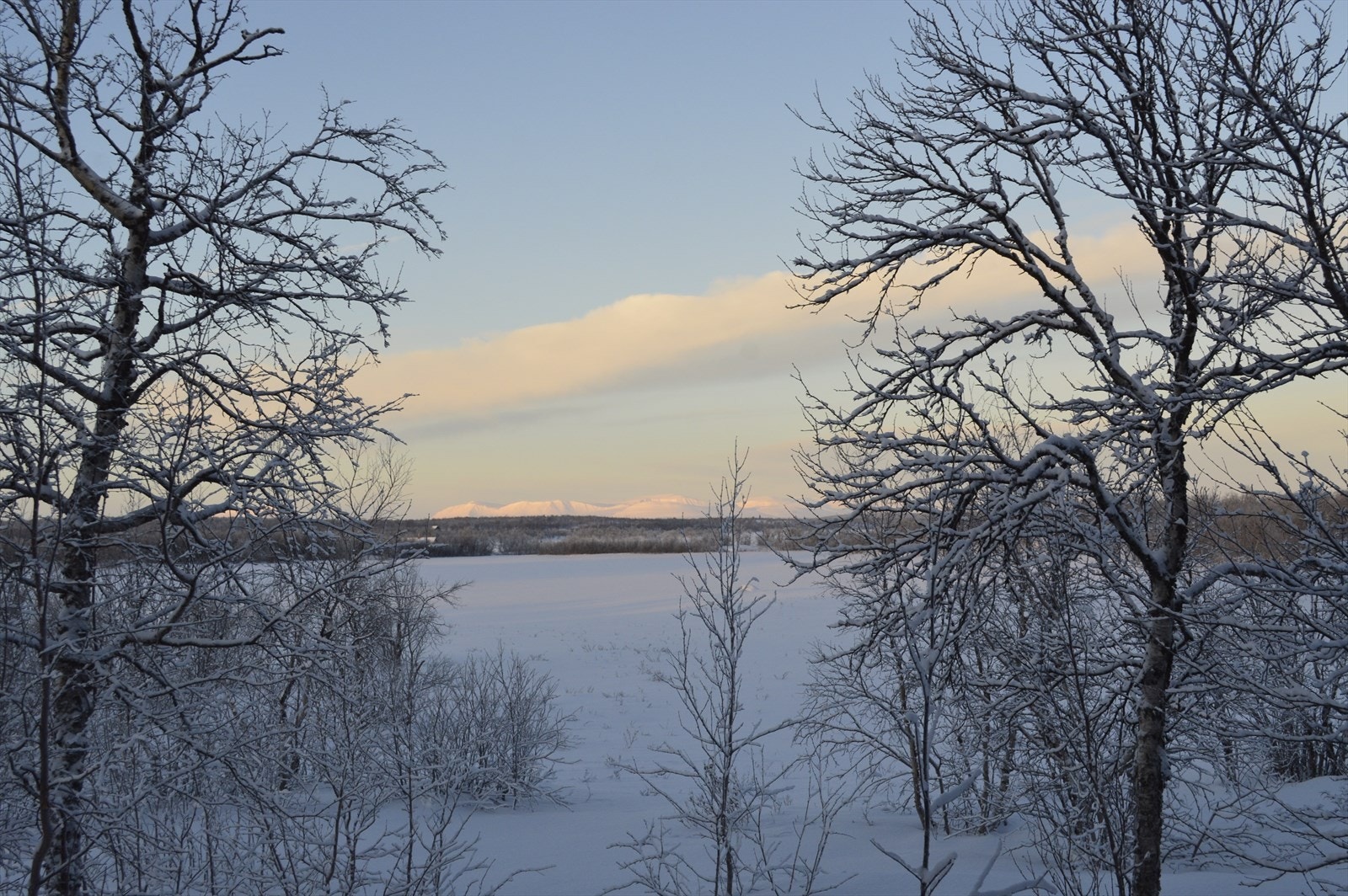 Utsikt mot Nattvann fra veranda Galleribilde