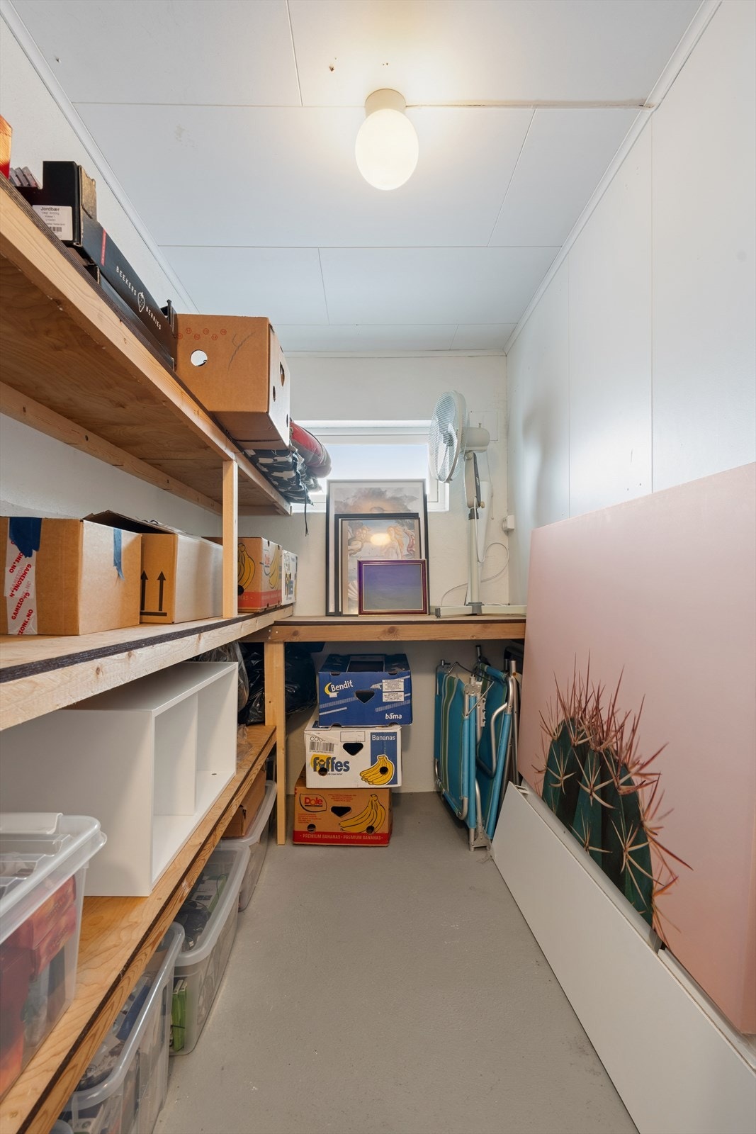 Leiligheten disponerer en romslig sportsbod på 8 m² i kjelleren, med innlagt strøm og stikkontakter. Galleribilde