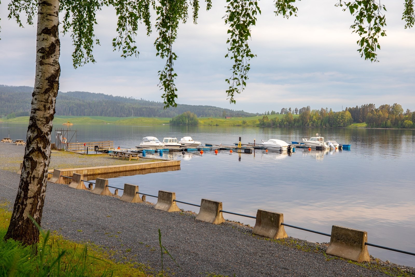 Båthavn ved Glomma. Galleribilde
