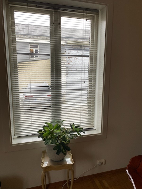 Stuen har store vinduer som slipper inn godt med lys Galleribilde