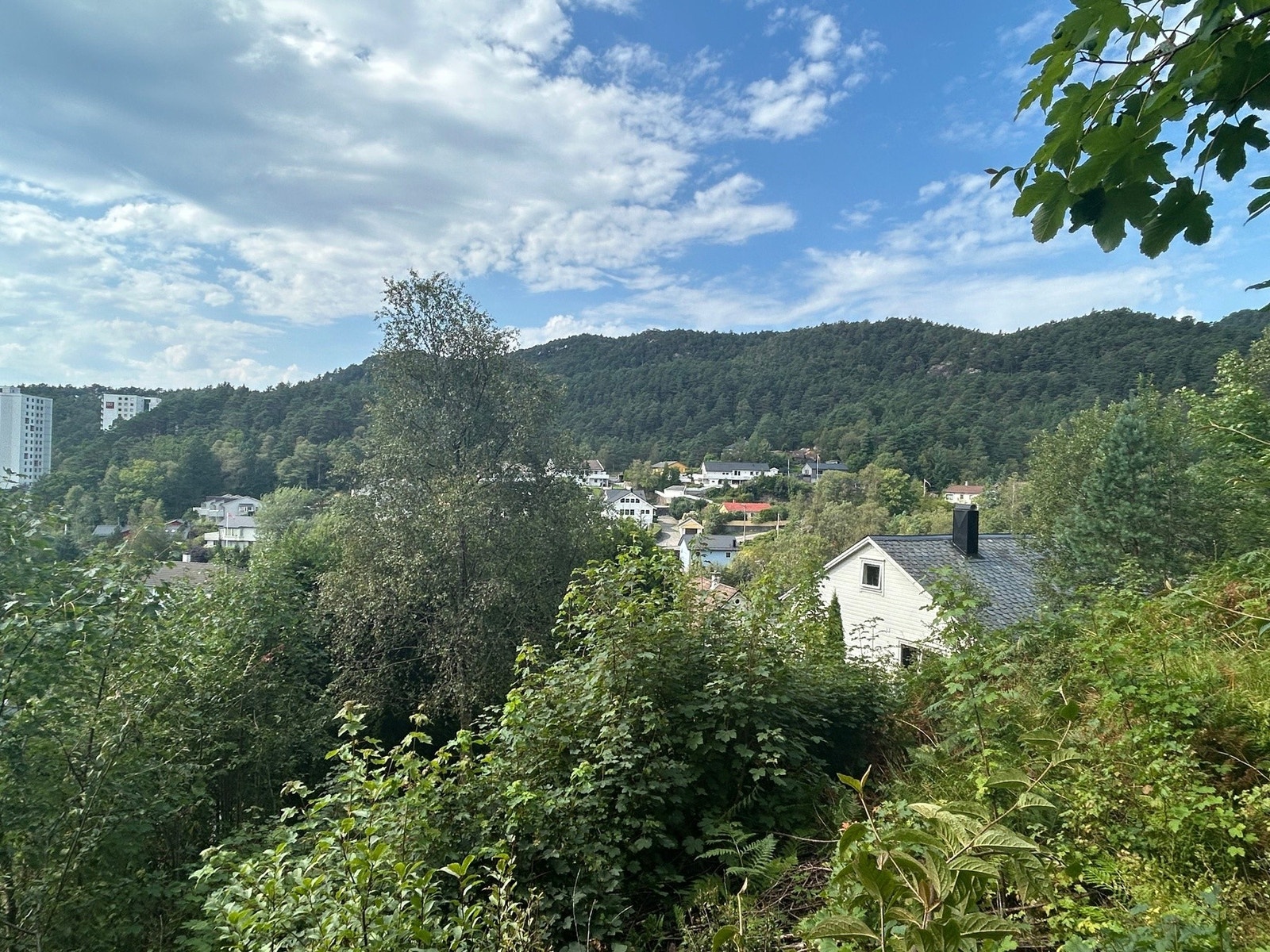 Utsikt fra tomten Galleribilde