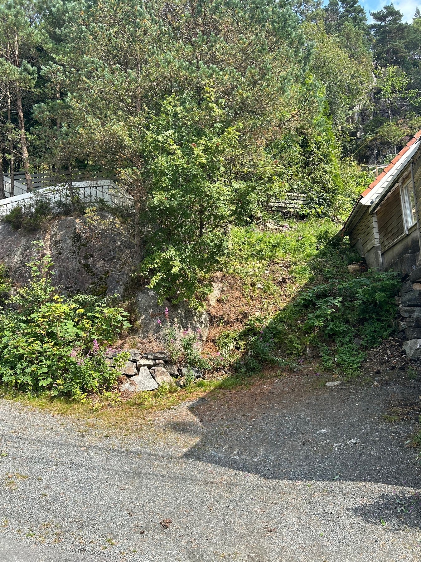 Parkering på egen tomt Galleribilde