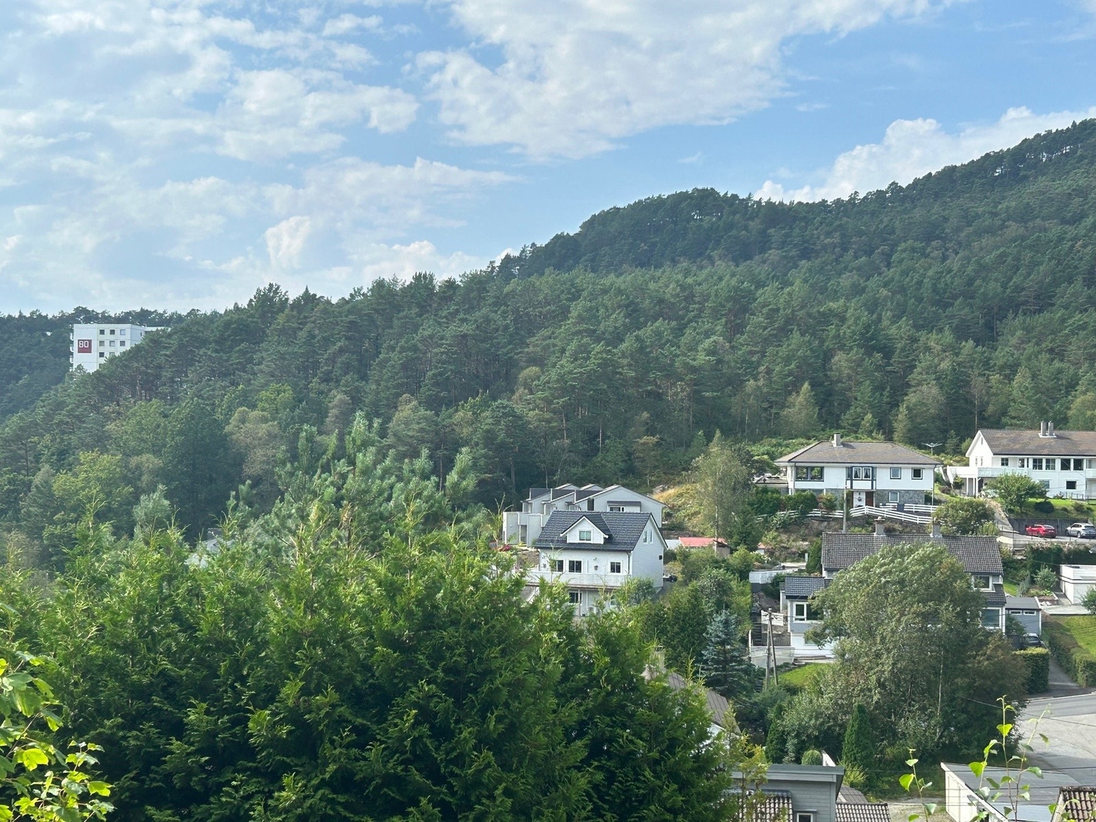 Område Galleribilde