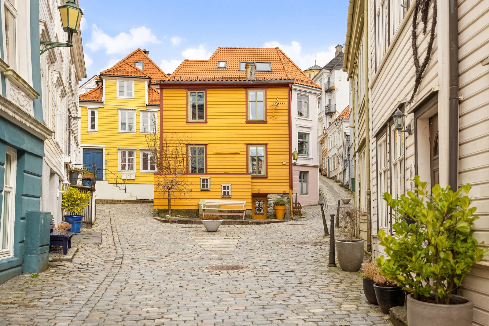 Velkommen til visning! Galleribilde