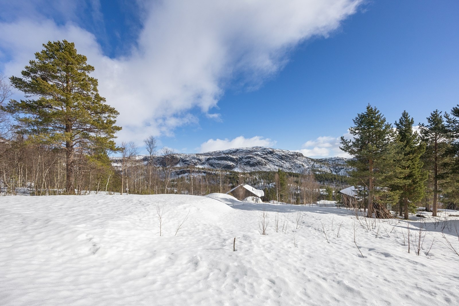 Gode solforhold som gir jevnt dagslys over tomten. Galleribilde