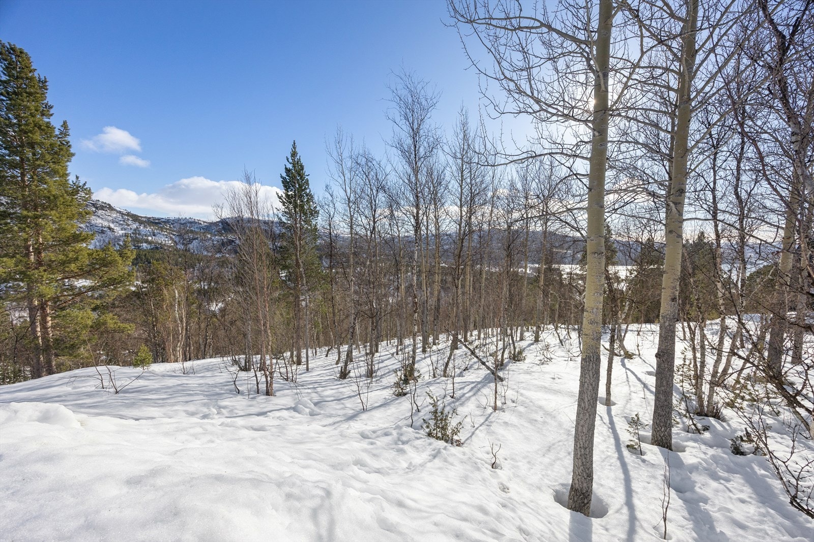Tomten er en råtomt og en festet tomt på ca. 1 394,7 m². Galleribilde