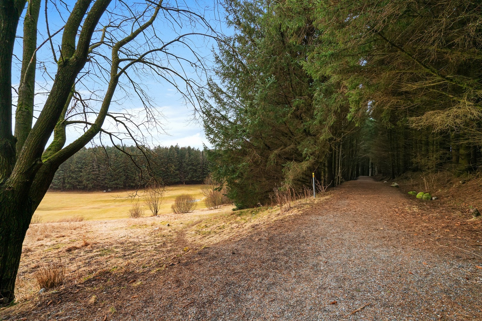 På Kjerrberget er du næmeste nabo til flotte turområder og ikke minst golfbanen på Forus/Sola. Galleribilde