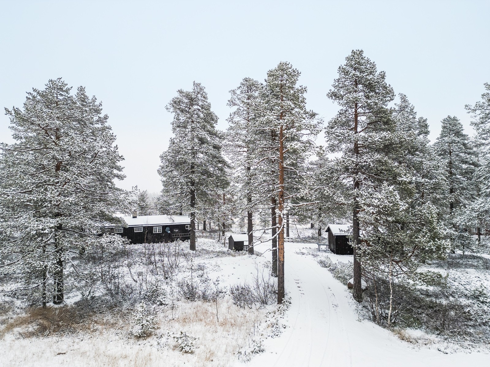 Flott preparerte løyper rett på utsiden av døra Galleribilde