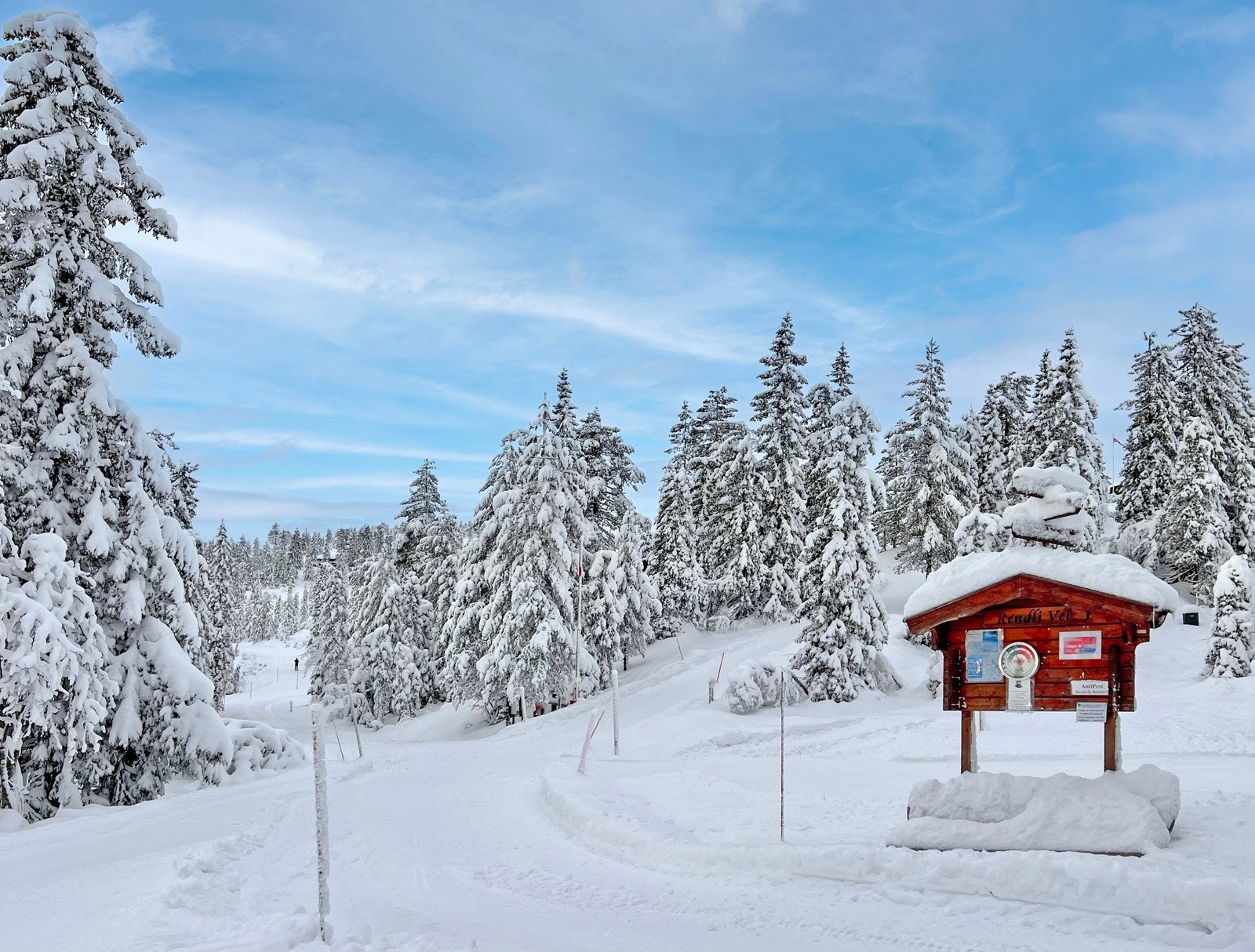 Enkelt terreng uten de store høydeforskjellene Galleribilde
