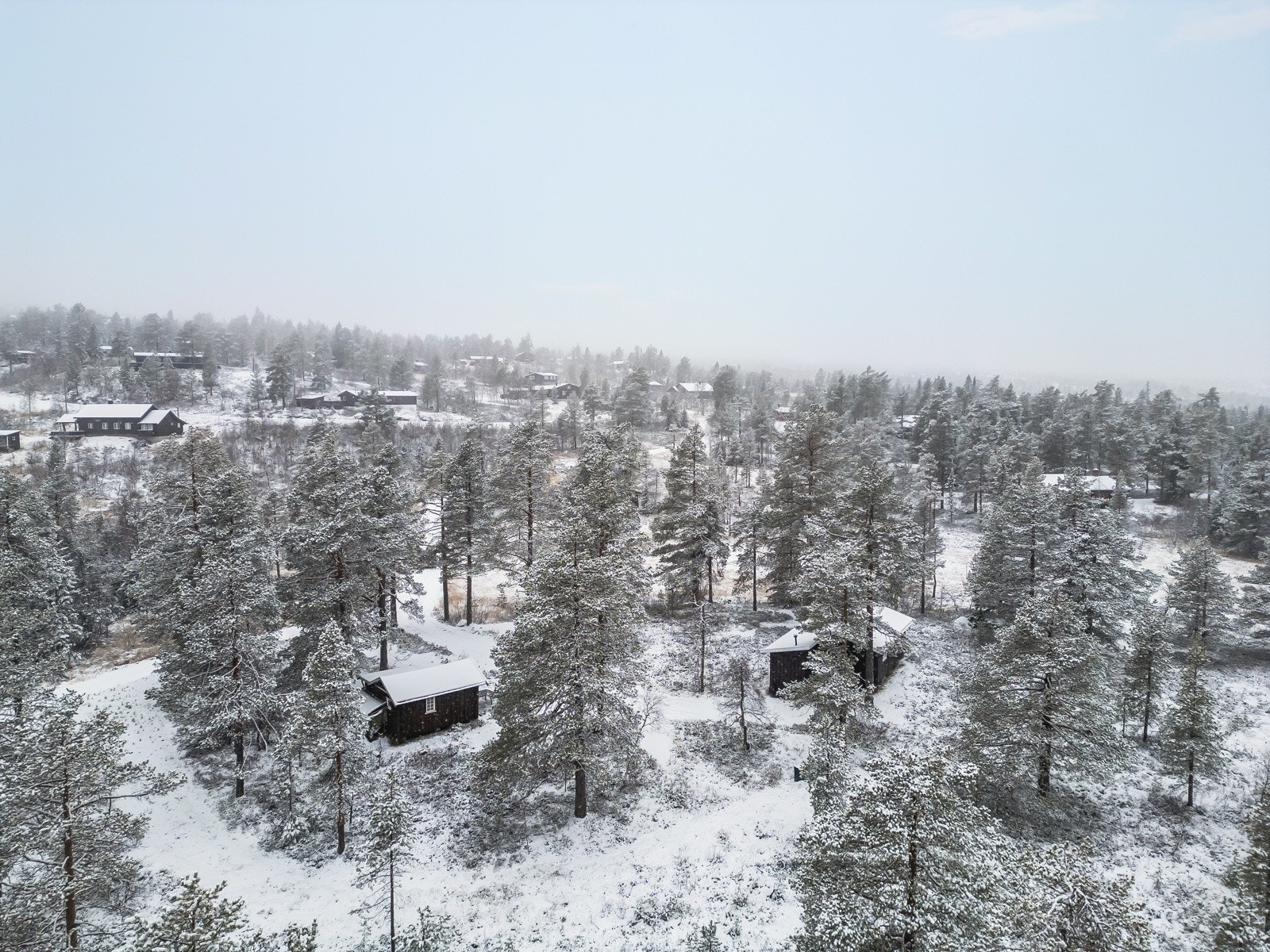 Solrik og flat selveid tomt Galleribilde