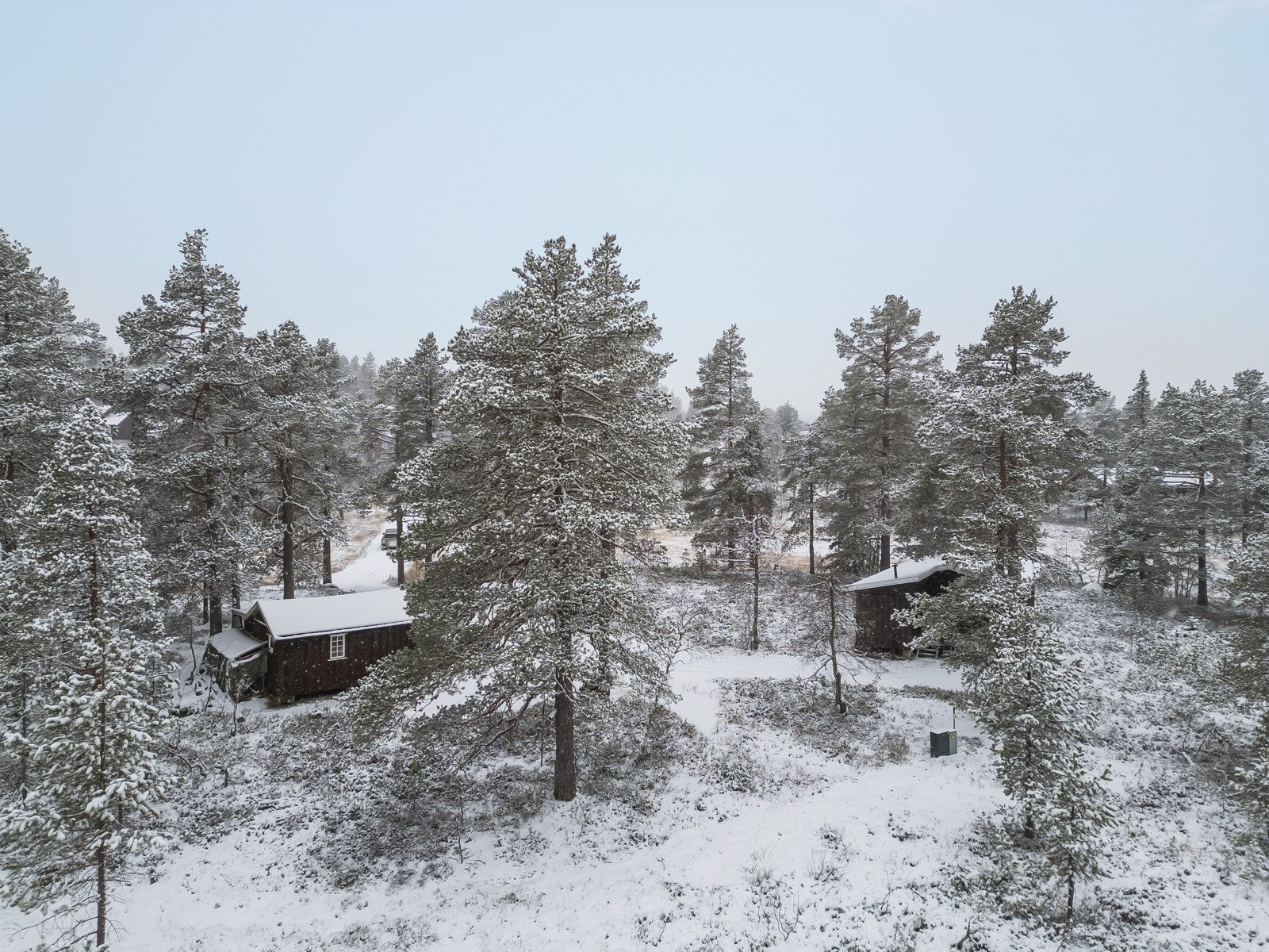 Velkommen til en hyggelig visning! Galleribilde