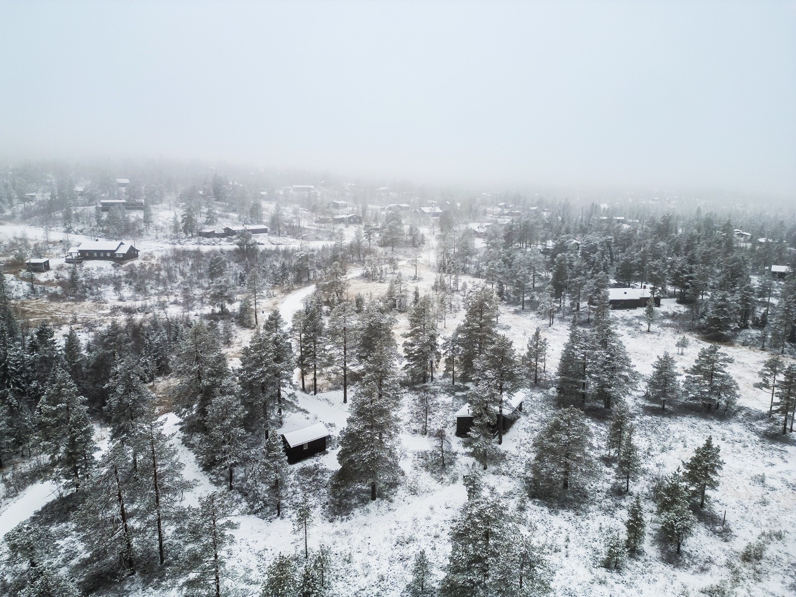 Stor og flat tomt med boltreplass for familie og venner Galleribilde