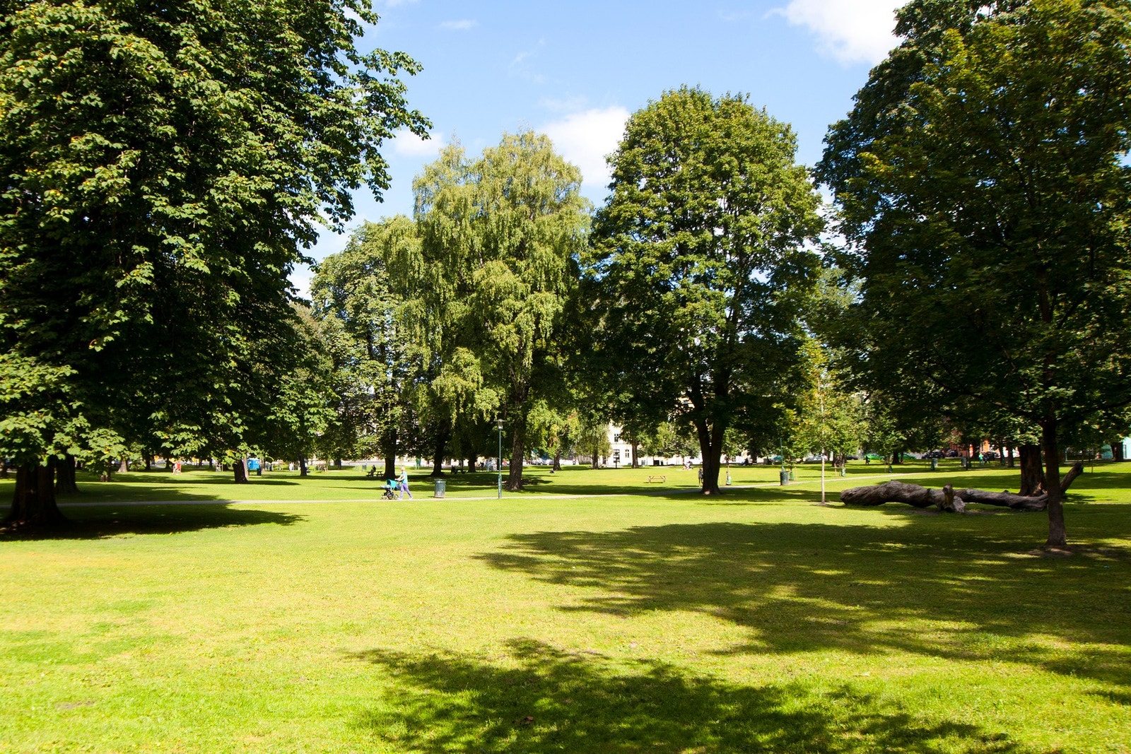 Sofienbergparken er en av områdets grønne perler, med store gressflater og rikelig med plass til piknik, ballspill og avslapning. Den 74 mål store parken huser også Sofienberg kirke. Galleribilde