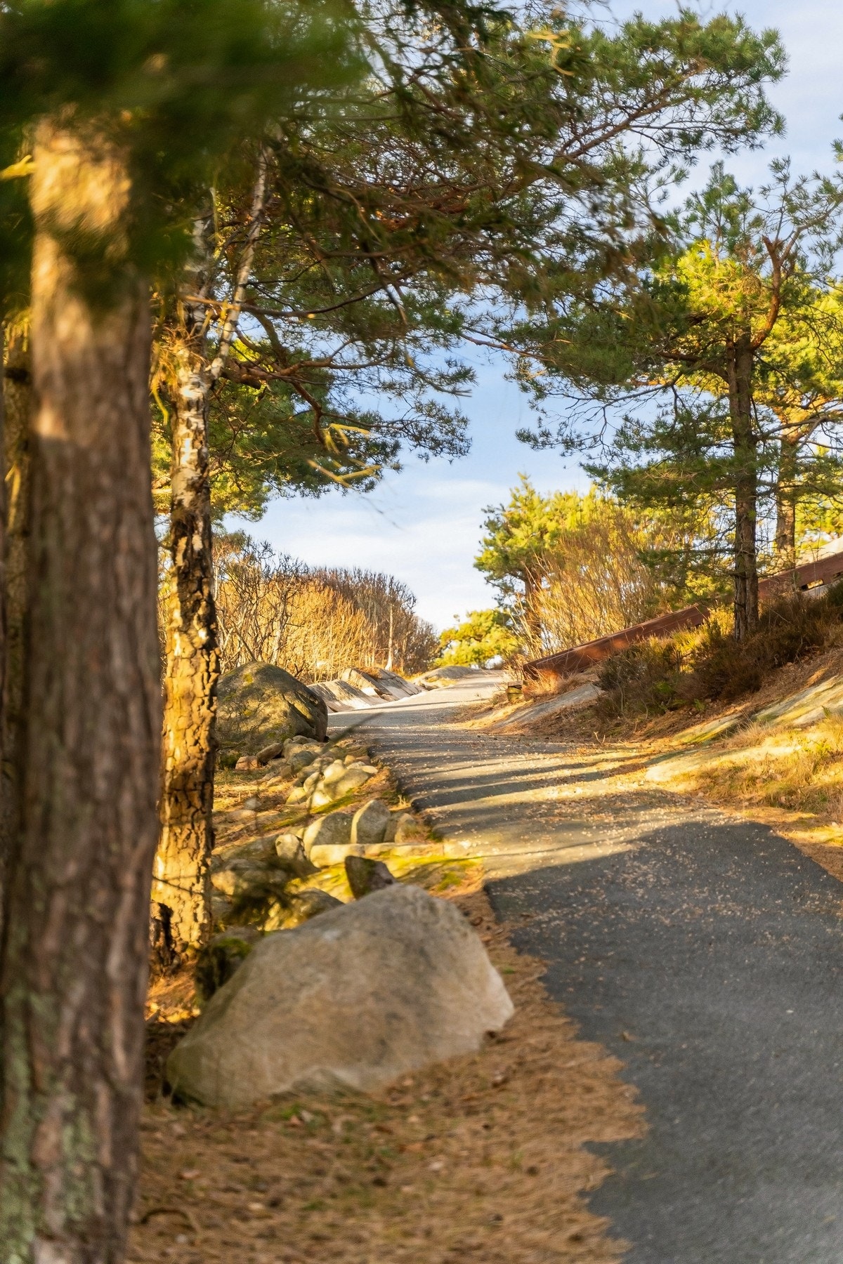 Hyggelige og opparbeidede interngater Galleribilde